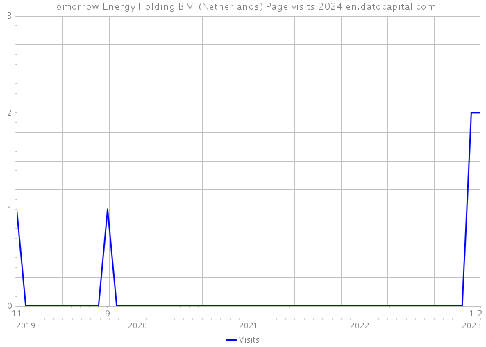 Tomorrow Energy Holding B.V. (Netherlands) Page visits 2024 