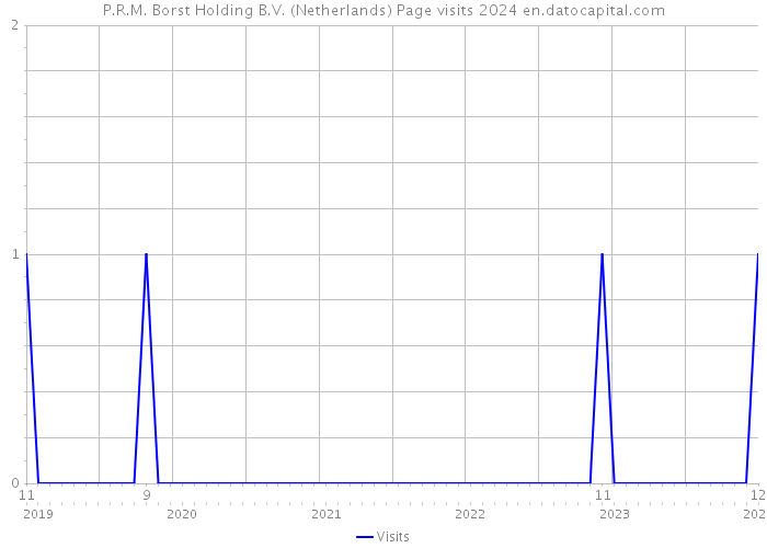 P.R.M. Borst Holding B.V. (Netherlands) Page visits 2024 