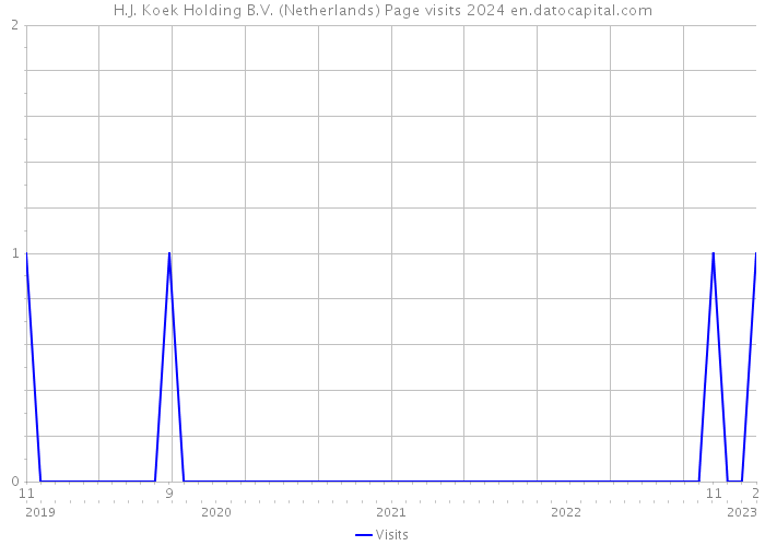 H.J. Koek Holding B.V. (Netherlands) Page visits 2024 