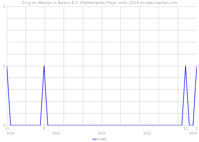 Zorg en Welzijn in Balans B.V. (Netherlands) Page visits 2024 