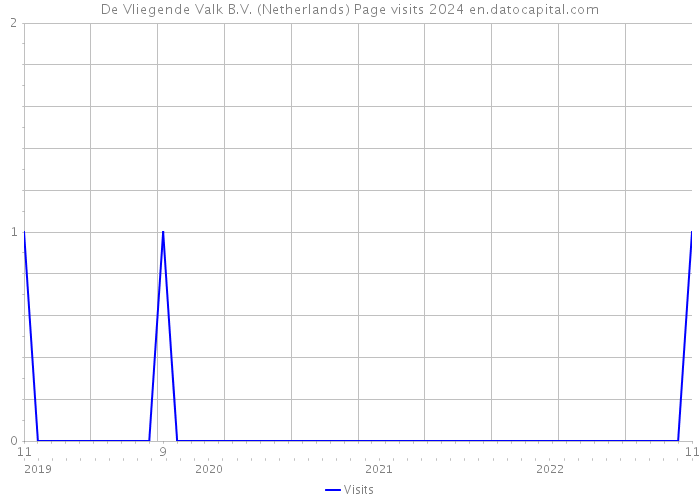De Vliegende Valk B.V. (Netherlands) Page visits 2024 