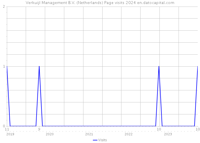 Verkuijl Management B.V. (Netherlands) Page visits 2024 