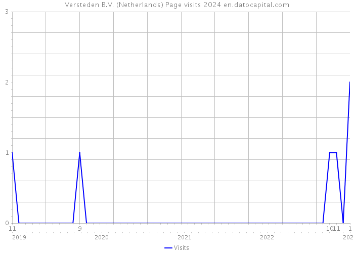 Versteden B.V. (Netherlands) Page visits 2024 