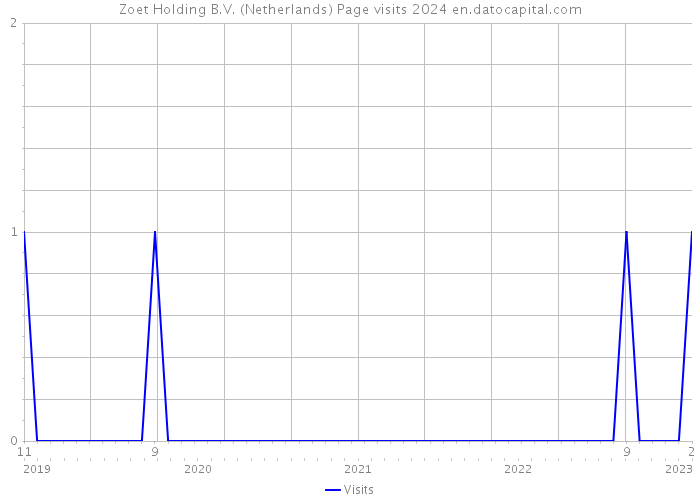 Zoet Holding B.V. (Netherlands) Page visits 2024 