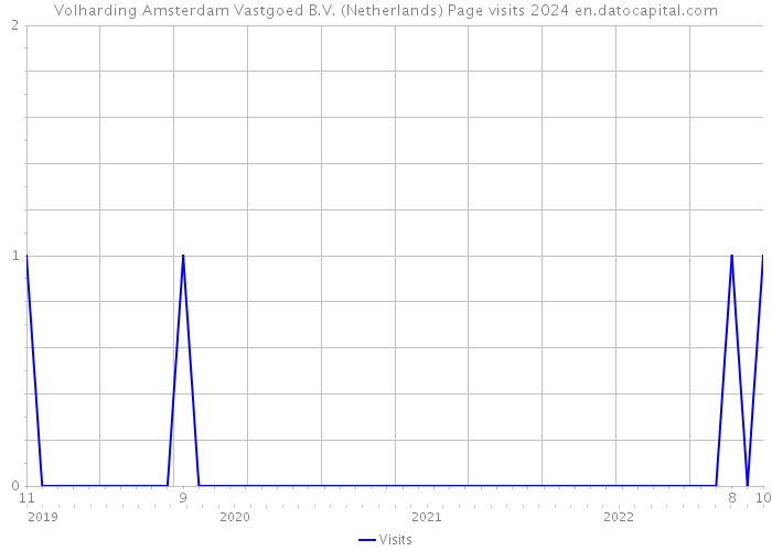Volharding Amsterdam Vastgoed B.V. (Netherlands) Page visits 2024 