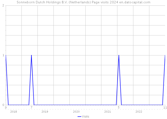 Sonneborn Dutch Holdings B.V. (Netherlands) Page visits 2024 