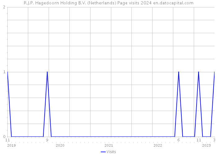 R.J.P. Hagedoorn Holding B.V. (Netherlands) Page visits 2024 