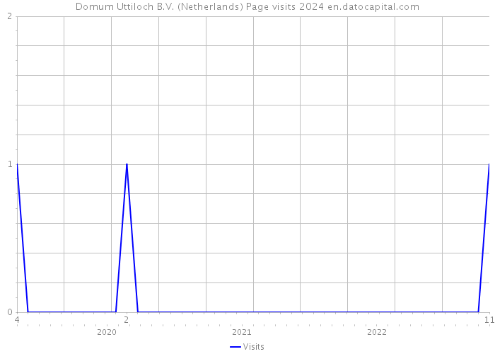 Domum Uttiloch B.V. (Netherlands) Page visits 2024 