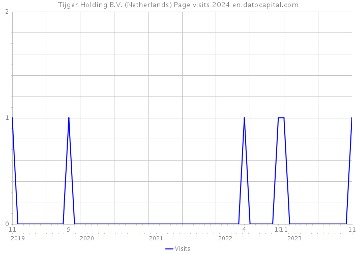 Tijger Holding B.V. (Netherlands) Page visits 2024 