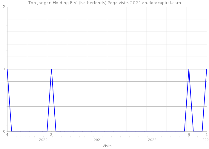 Ton Jongen Holding B.V. (Netherlands) Page visits 2024 