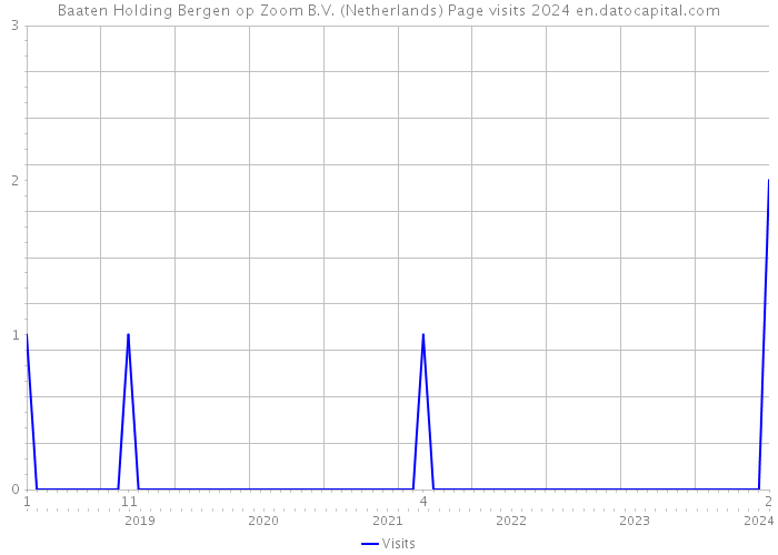 Baaten Holding Bergen op Zoom B.V. (Netherlands) Page visits 2024 