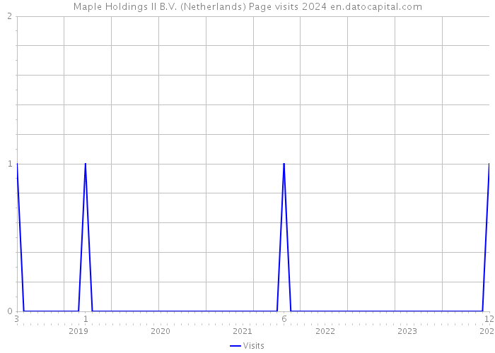 Maple Holdings II B.V. (Netherlands) Page visits 2024 