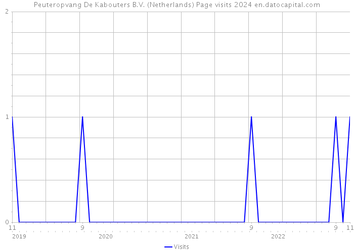 Peuteropvang De Kabouters B.V. (Netherlands) Page visits 2024 