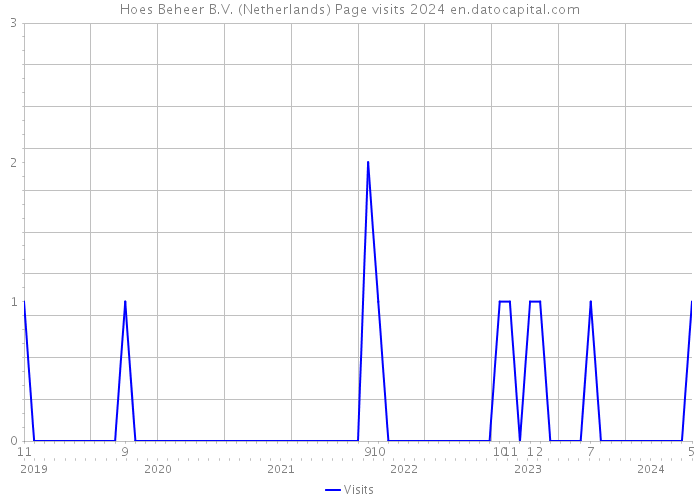 Hoes Beheer B.V. (Netherlands) Page visits 2024 