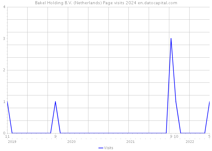 Bakel Holding B.V. (Netherlands) Page visits 2024 