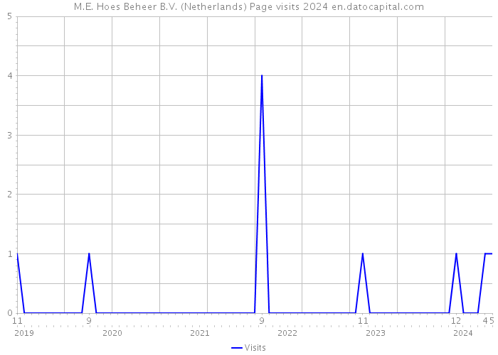 M.E. Hoes Beheer B.V. (Netherlands) Page visits 2024 