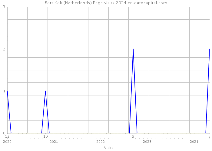 Bort Kok (Netherlands) Page visits 2024 