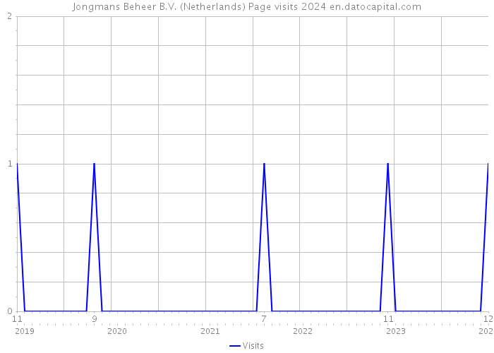 Jongmans Beheer B.V. (Netherlands) Page visits 2024 