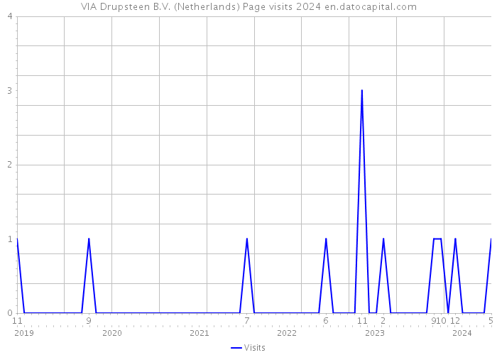 VIA Drupsteen B.V. (Netherlands) Page visits 2024 