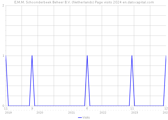 E.M.M. Schoonderbeek Beheer B.V. (Netherlands) Page visits 2024 
