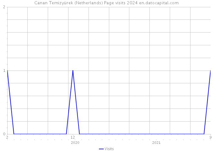 Canan Temizyürek (Netherlands) Page visits 2024 