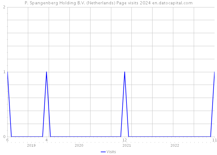 P. Spangenberg Holding B.V. (Netherlands) Page visits 2024 
