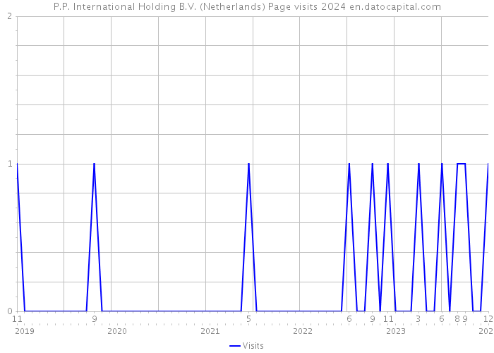 P.P. International Holding B.V. (Netherlands) Page visits 2024 