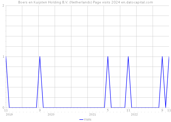 Boers en Kuijsten Holding B.V. (Netherlands) Page visits 2024 