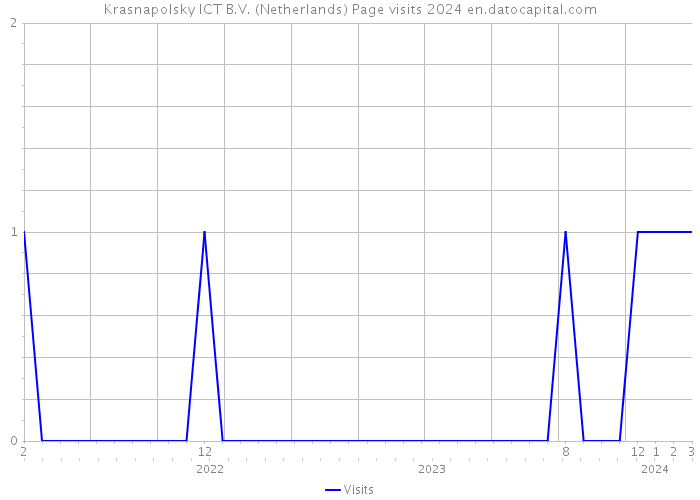 Krasnapolsky ICT B.V. (Netherlands) Page visits 2024 