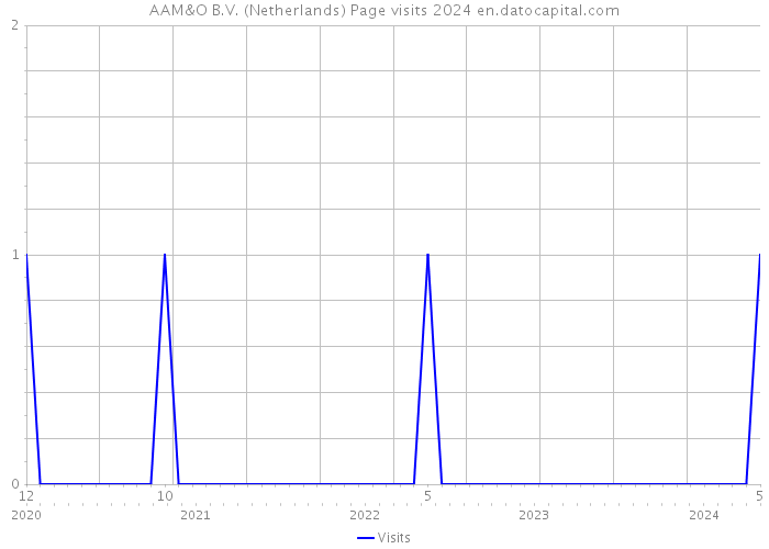 AAM&O B.V. (Netherlands) Page visits 2024 