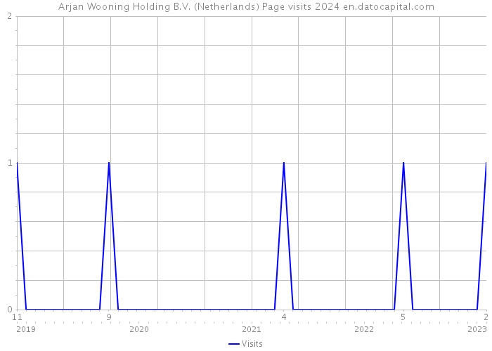 Arjan Wooning Holding B.V. (Netherlands) Page visits 2024 