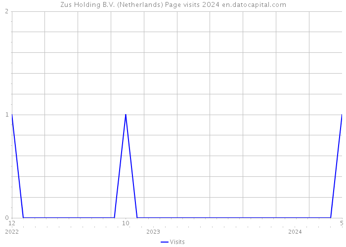 Zus Holding B.V. (Netherlands) Page visits 2024 