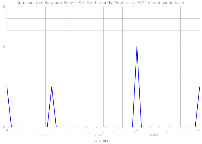 Ruud van den Boogaart Beheer B.V. (Netherlands) Page visits 2024 