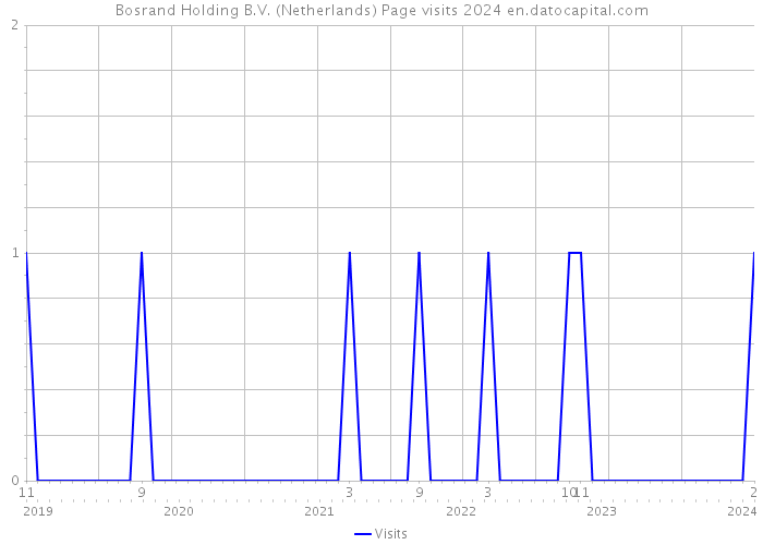 Bosrand Holding B.V. (Netherlands) Page visits 2024 