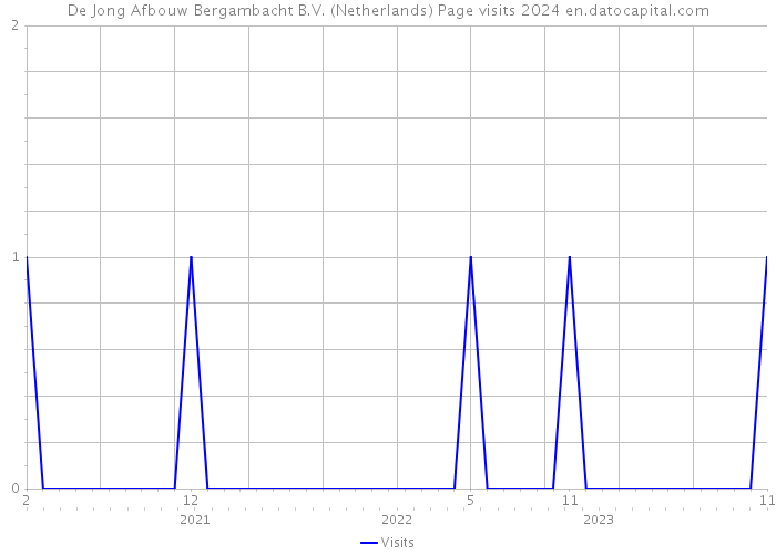 De Jong Afbouw Bergambacht B.V. (Netherlands) Page visits 2024 