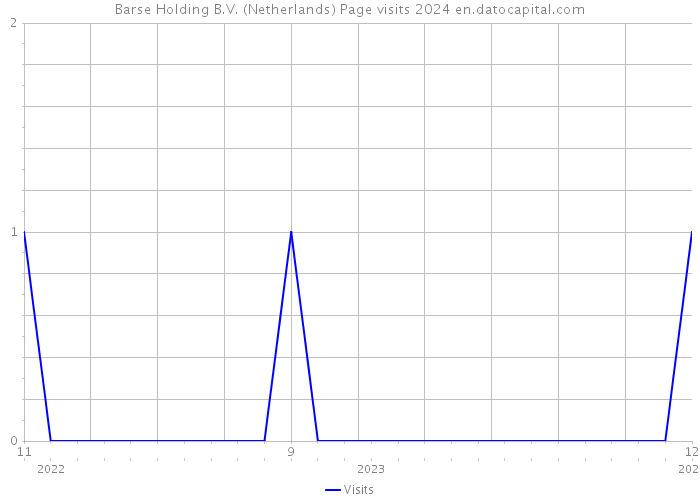 Barse Holding B.V. (Netherlands) Page visits 2024 