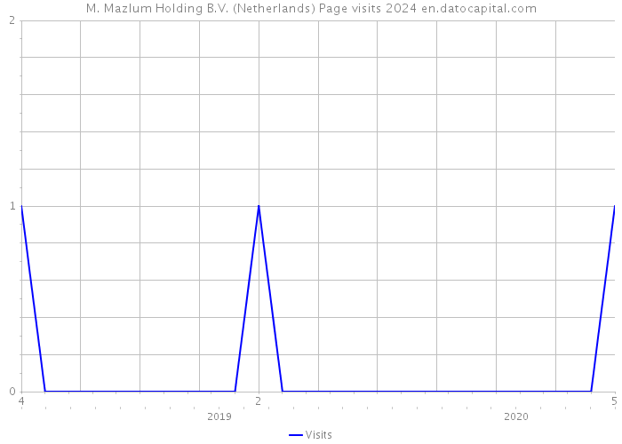 M. Mazlum Holding B.V. (Netherlands) Page visits 2024 