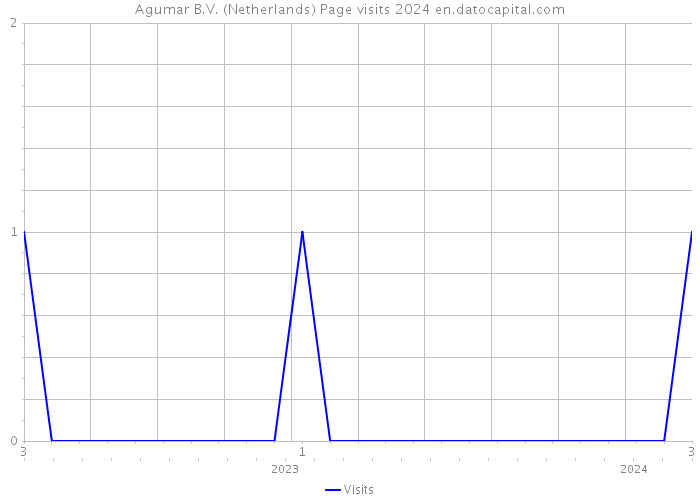 Agumar B.V. (Netherlands) Page visits 2024 