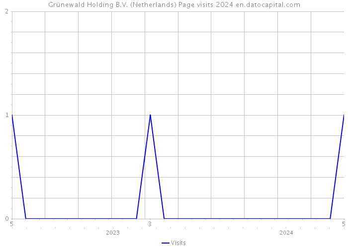 Grünewald Holding B.V. (Netherlands) Page visits 2024 