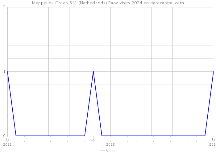 Meppelink Groep B.V. (Netherlands) Page visits 2024 