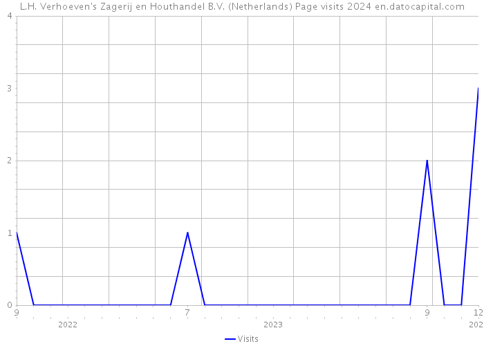 L.H. Verhoeven's Zagerij en Houthandel B.V. (Netherlands) Page visits 2024 
