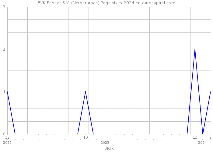 EVK Beheer B.V. (Netherlands) Page visits 2024 
