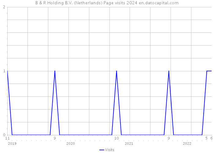 B & R Holding B.V. (Netherlands) Page visits 2024 