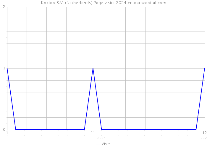 Kokido B.V. (Netherlands) Page visits 2024 