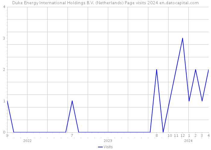 Duke Energy International Holdings B.V. (Netherlands) Page visits 2024 