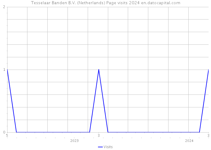 Tesselaar Banden B.V. (Netherlands) Page visits 2024 