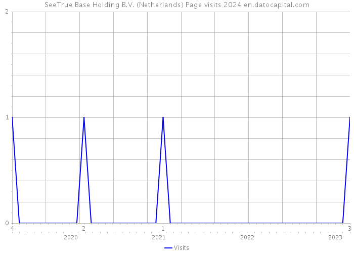 SeeTrue Base Holding B.V. (Netherlands) Page visits 2024 