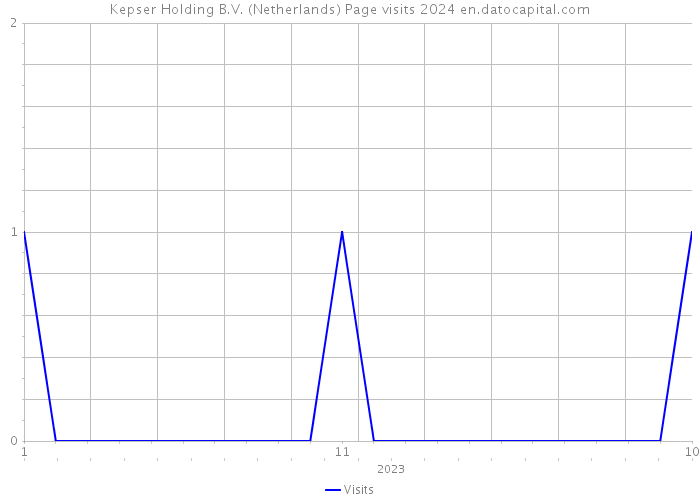 Kepser Holding B.V. (Netherlands) Page visits 2024 