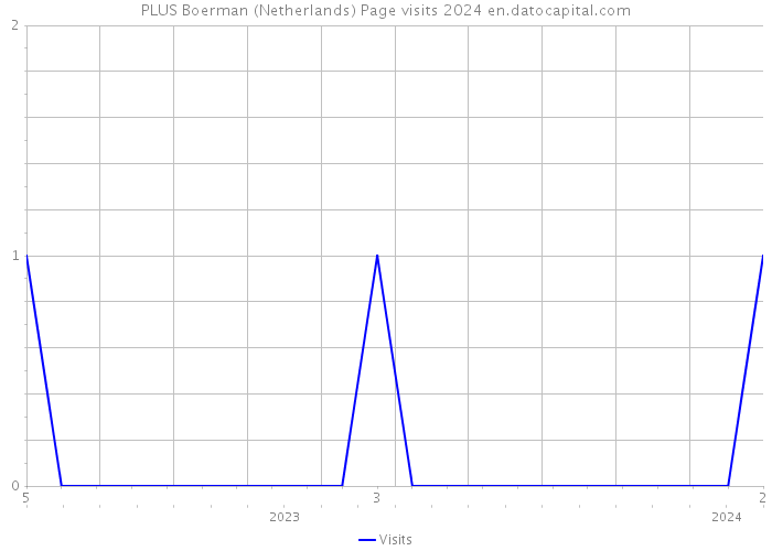 PLUS Boerman (Netherlands) Page visits 2024 