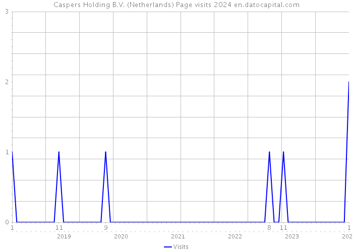 Caspers Holding B.V. (Netherlands) Page visits 2024 